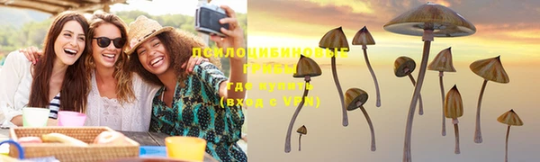 mix Надым