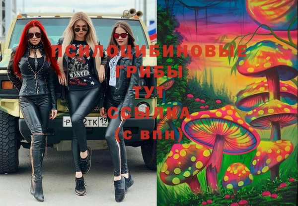 mix Надым